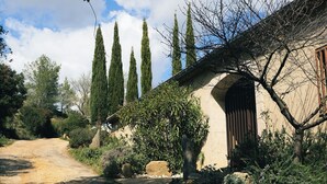 A rural road leading to a stone building with a wooden door, surrounded by tall cypress trees and various shrubs. - Louis Henry (Saint-Pierre-des-Champs)
