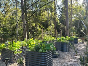 Un jardín con bancales elevados y un sendero de piedra.