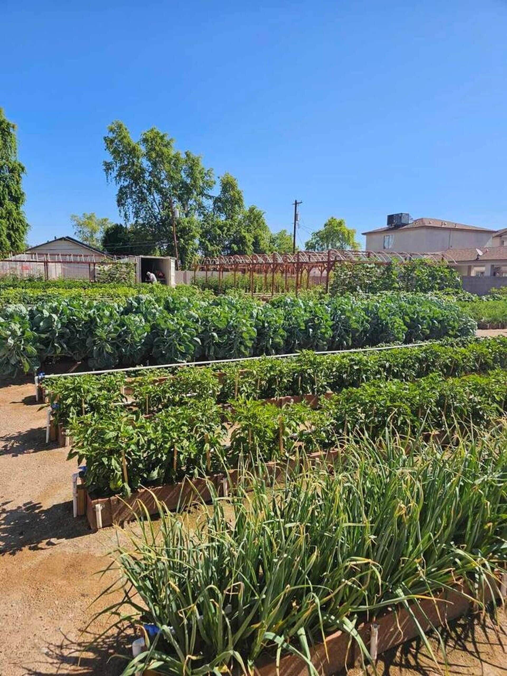 Áreas de la propiedad