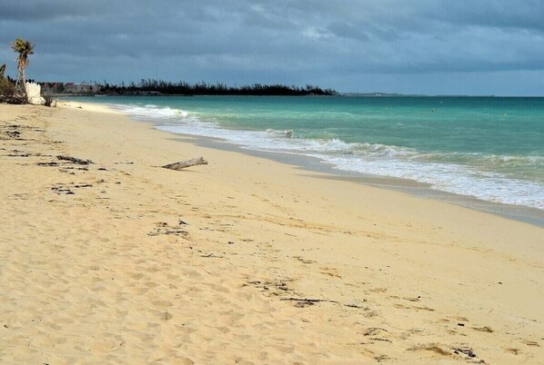 Shared Dormitory, 2 Bedrooms, Balcony, Garden View | Beach