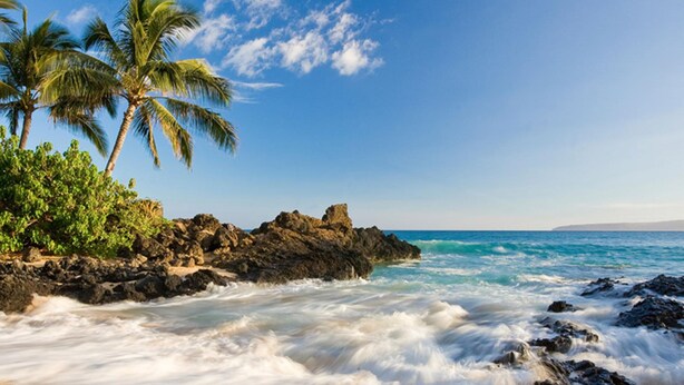 A beach with rocky outcrops, palm trees, and waves. - Not available now (Kelowna)