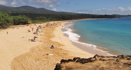 Paradise found !Saturday to Saturday only Dec 20-Jan3 left