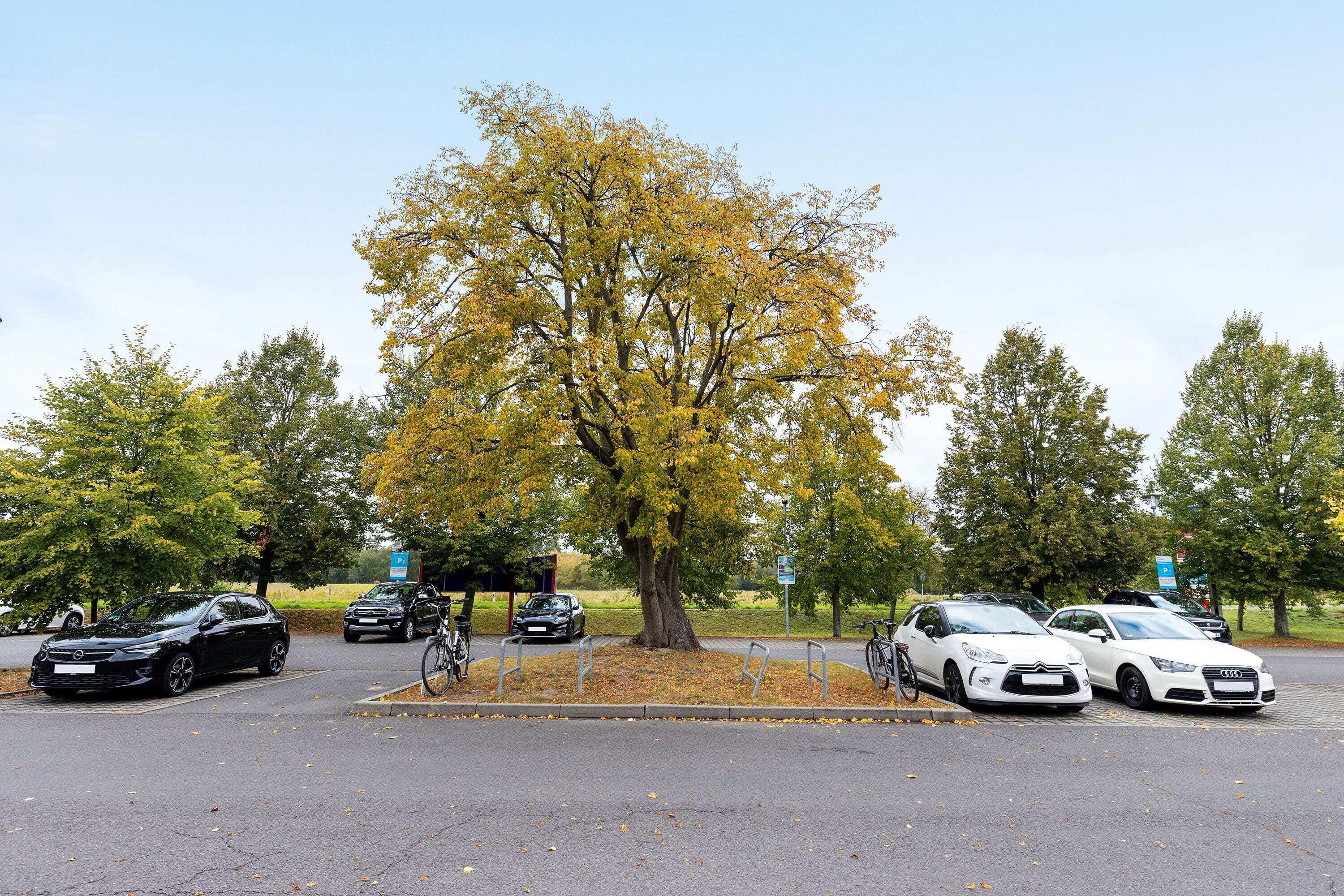 Àrea exterior de l'allotjament