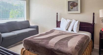 Ocean Lodge Boca - Unit 15