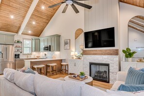 Smart TV, fireplace, books