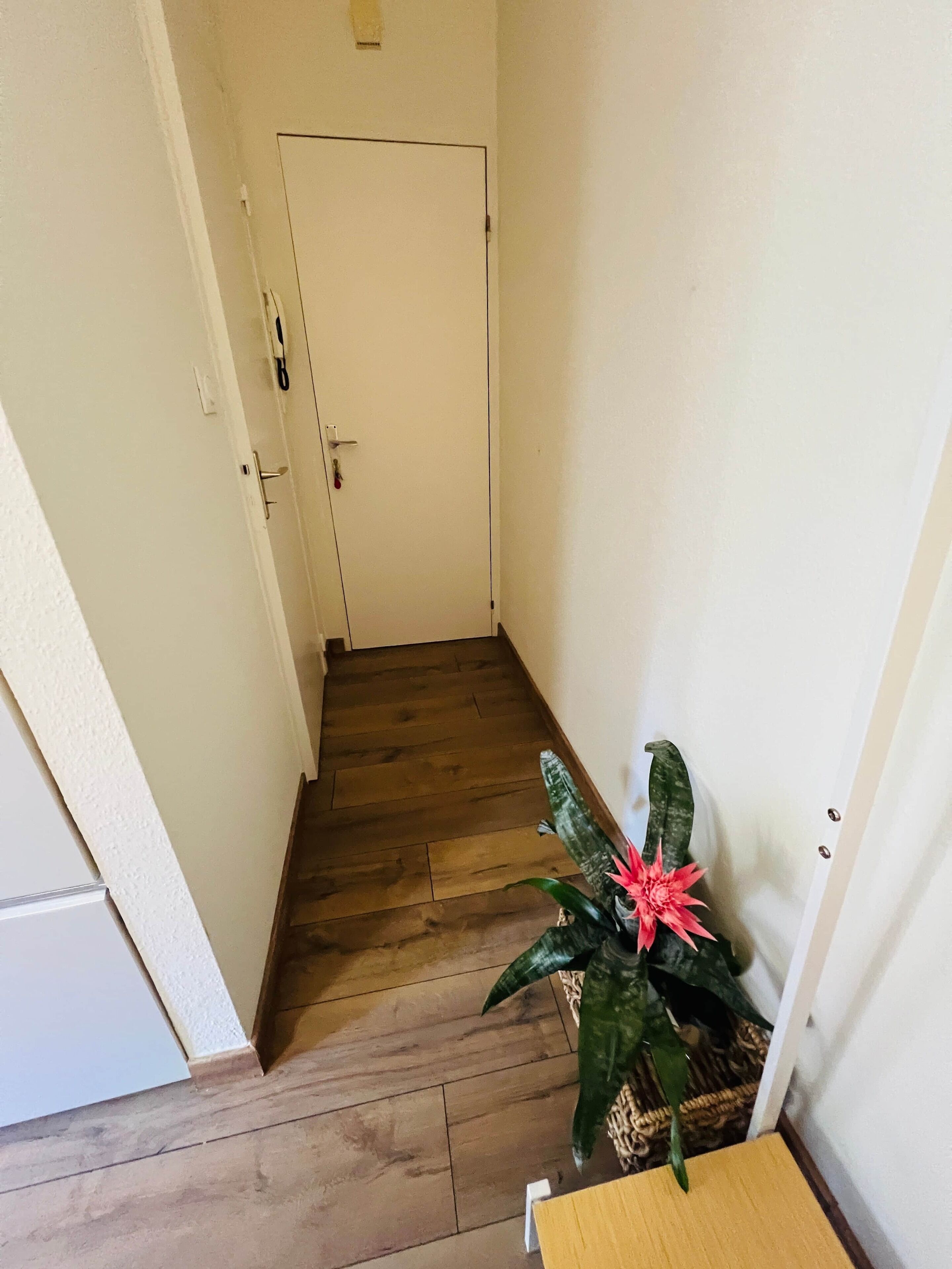 A narrow hallway with wooden flooring and a white door at the end.