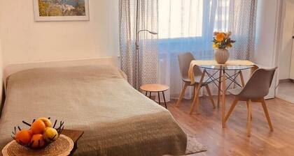 Studio near MESSE Basel/ EuroAirport/ DE/FR