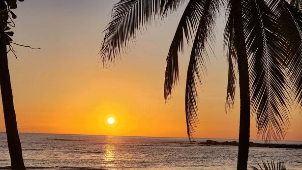 Un coucher de soleil sur une plage bordée de palmiers.
