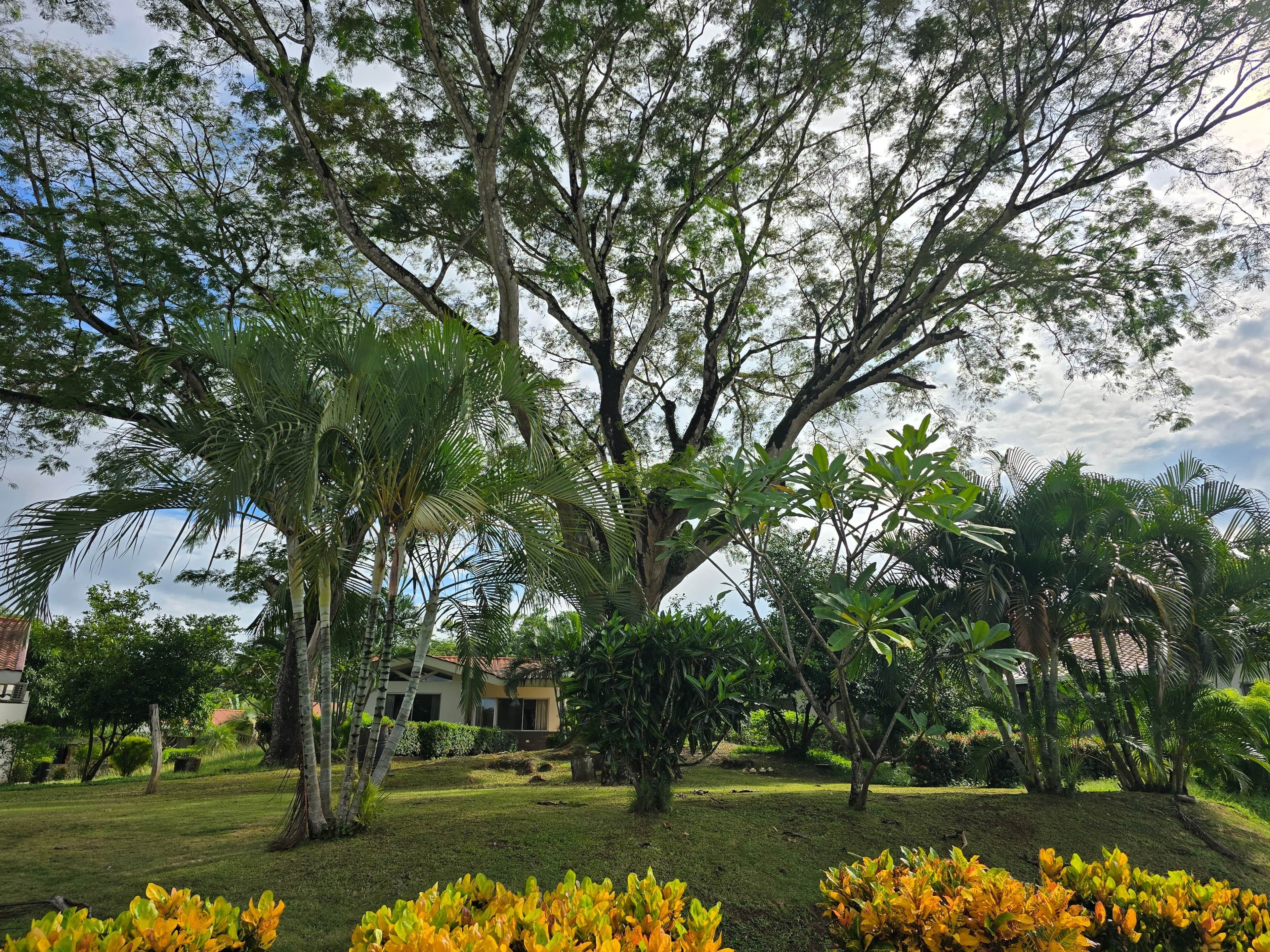 Àrea exterior de l'allotjament