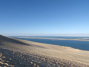 Beach nearby - Villa Zaphira with Heated Pool (Gujan-Mestras)