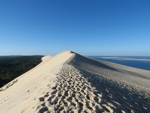 Plage à proximité