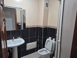 Apart Daire, 3 Yatak Odası, Engellilere Uygun, Sigara İçilebilir | Banyo