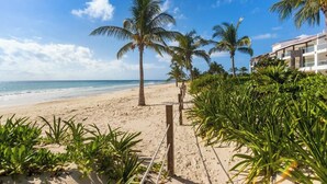 Une plage bordée de palmiers, un sentier sablonneux et un bâtiment doté de balcons.
