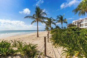 Ein Strand mit Palmen, einem Sandweg und einem Gebäude mit Balkonen.