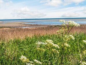 House | Beach - 5 Star Holiday Home in Orsted (Ørsted)