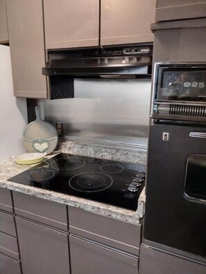 Deluxe Apartment | Private kitchen - Fairview Inn Airport (Greensboro)