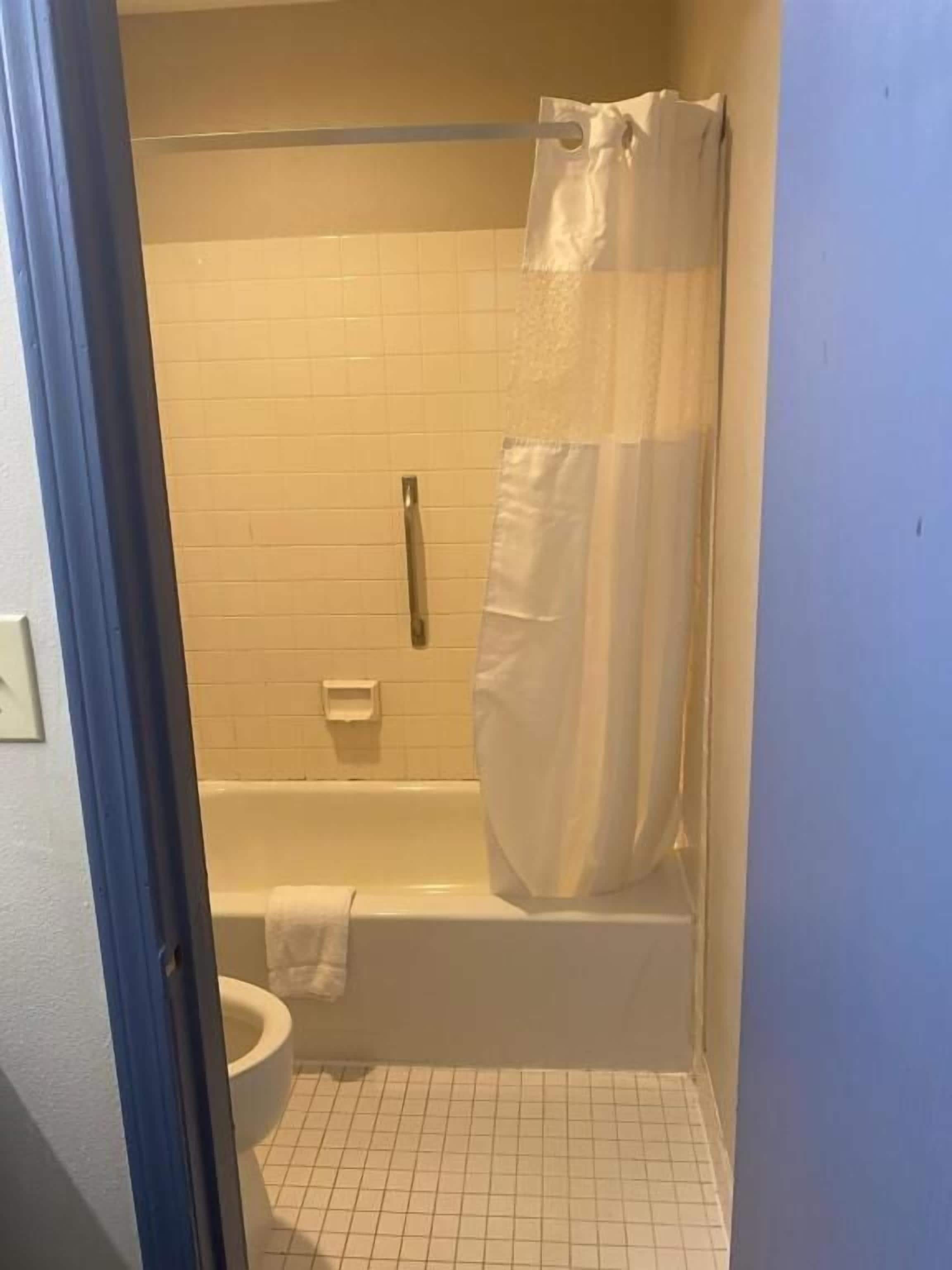 A small bathroom with a bathtub, toilet, and a shower curtain.