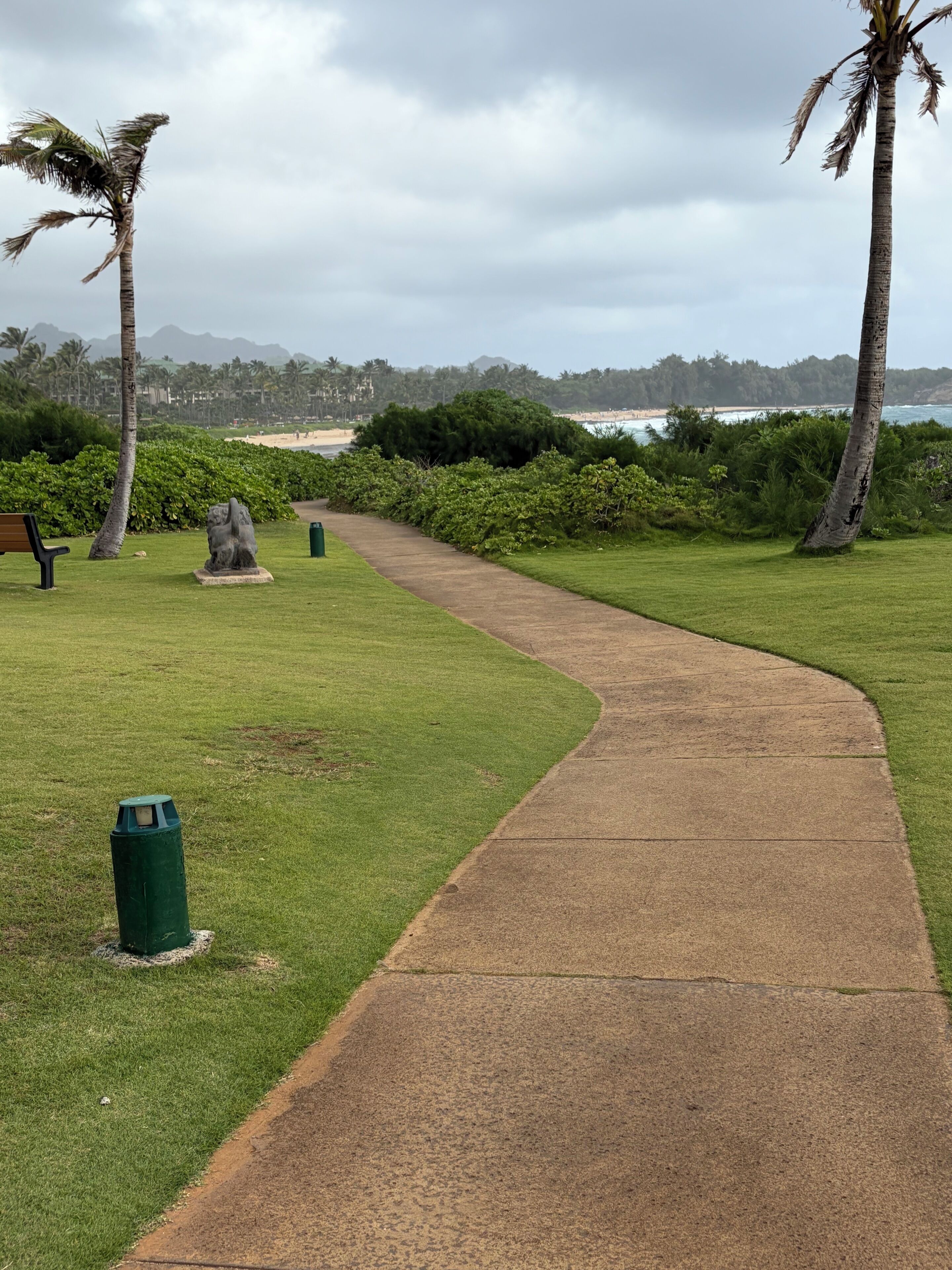 Un chemin en béton dans un parc, avec des palmiers et un banc.