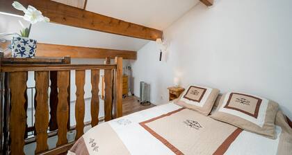 Modern Alpine Apartment in La Foux