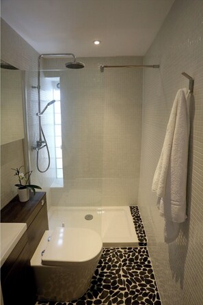 Douche, sèche-cheveux, serviettes fournies, savon