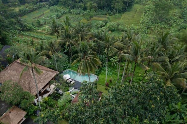 Pool - Villa Inka Ubud by Nakula (Bali)