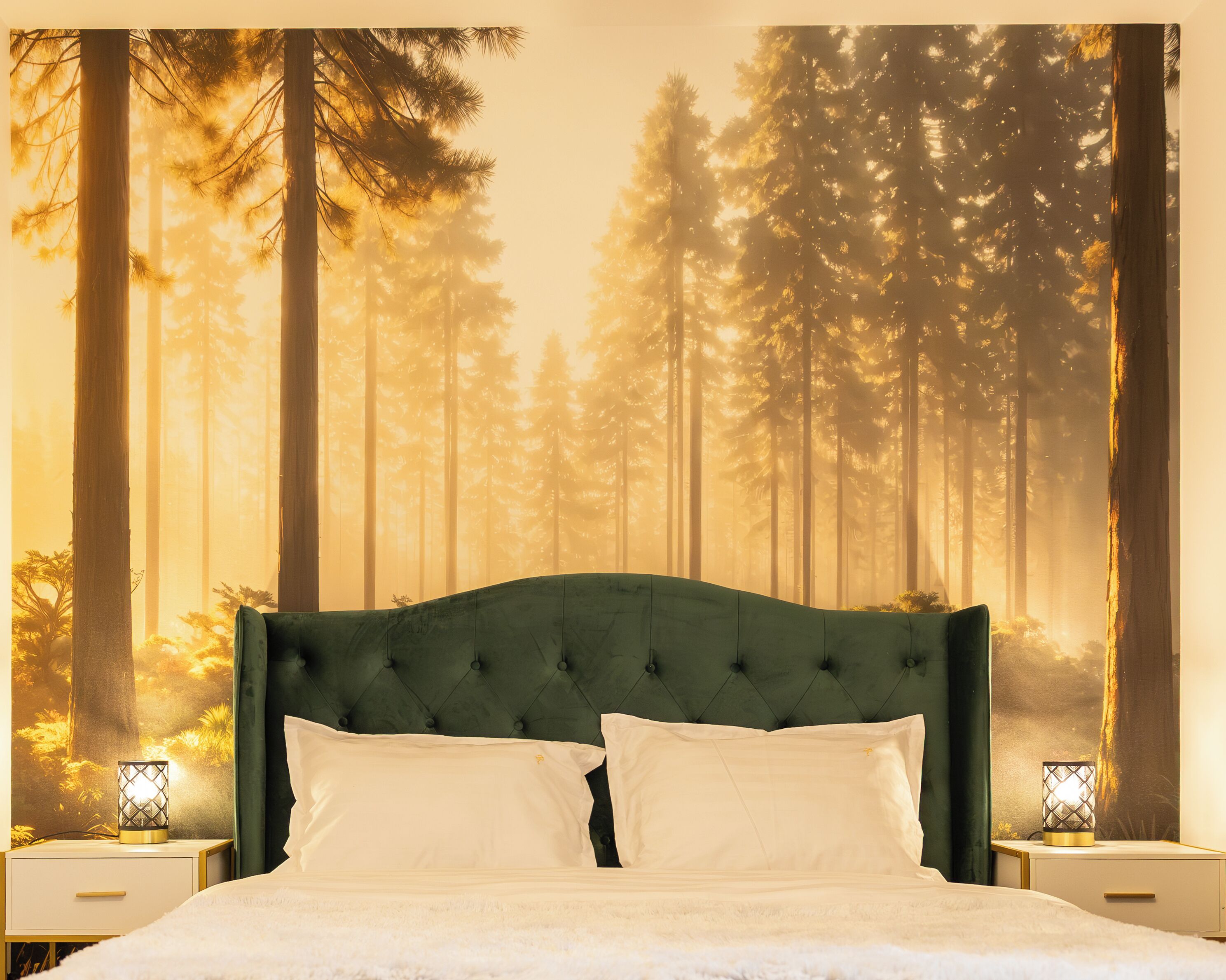 Apartemen Deluks | Wi-Fi gratis