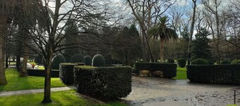 Cozy apartment a few steps from San Lorenzo beach