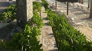 A beachside walkway lined with palm trees and a thatched-roof structure. - Deluxe Ocean View Suite – The Ultimate Luxury Experience in Cancún (Cancún)