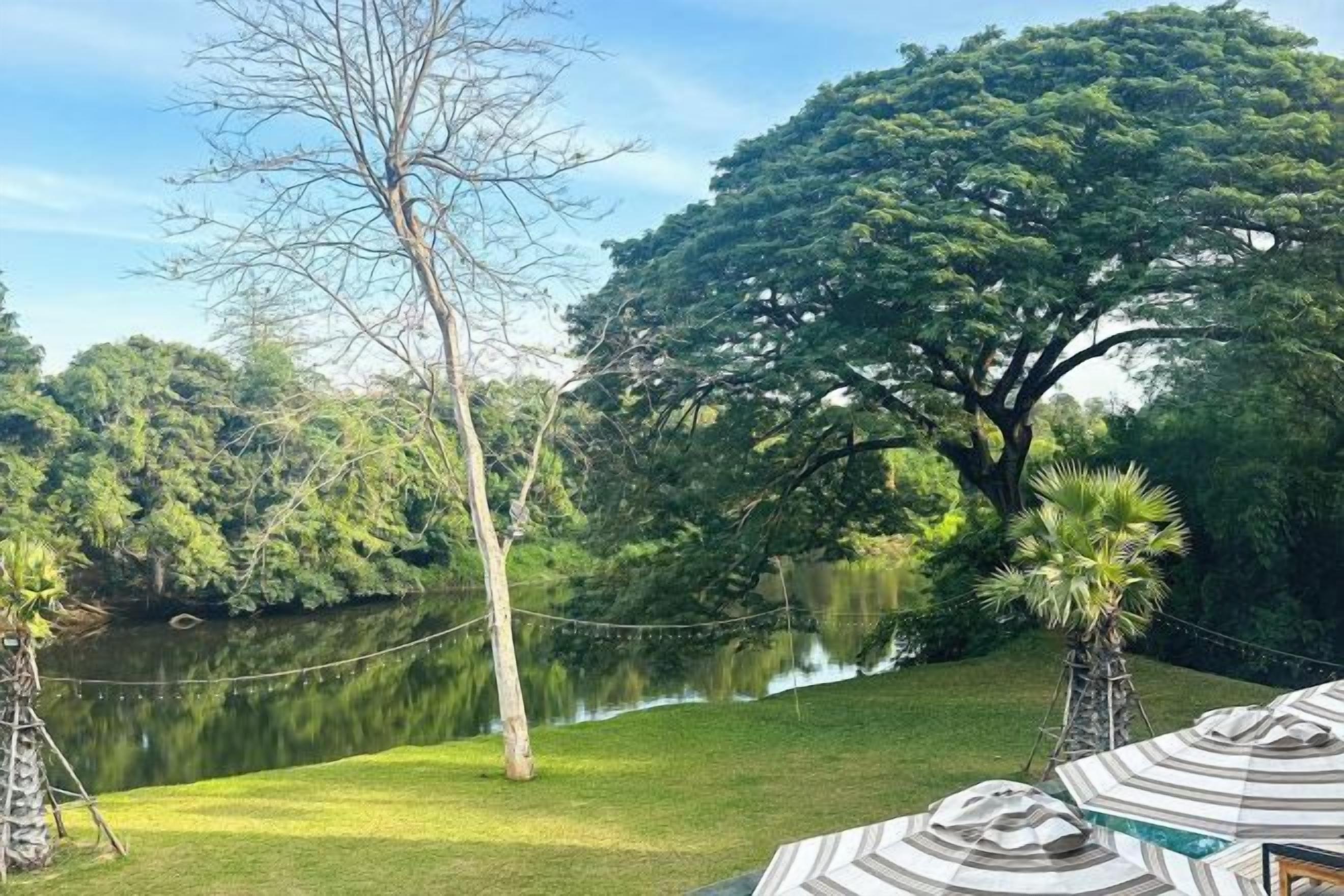 A serene outdoor setting with a grassy area, a tree, and a body of water.