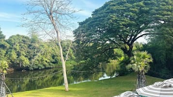 A serene outdoor setting with a grassy area, a tree, and a body of water.