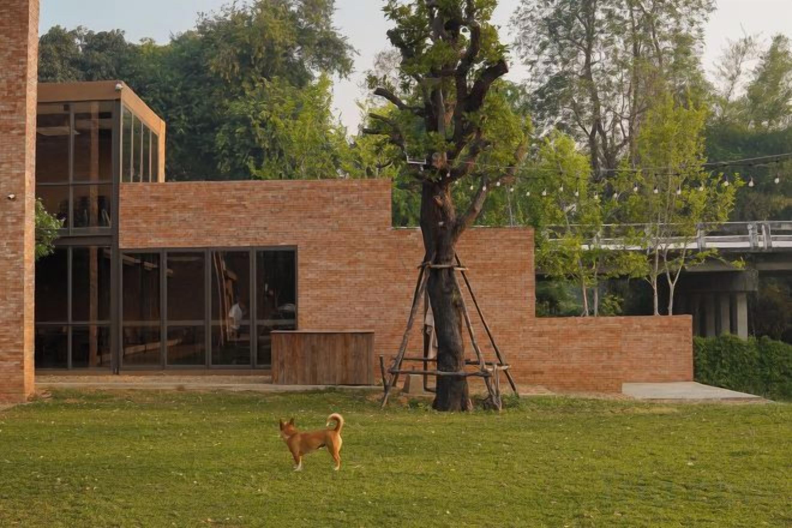 A modern building with a glass facade, a grassy yard, and a dog.