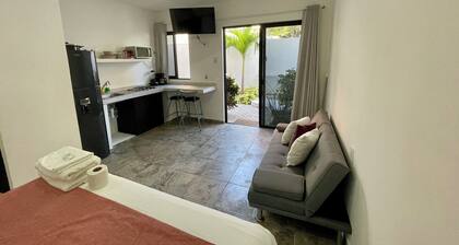 Lavish Studio w Kitchen Downtown 1