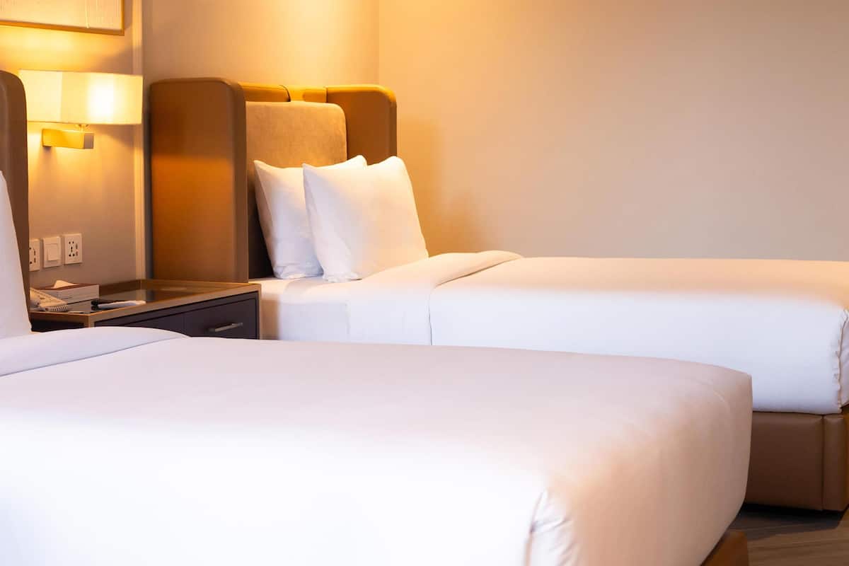 Chambre Deluxe, 2 lits une place, balcon, vue montagne