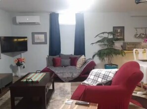 Smart TV, caminetto, lettore DVD, libri