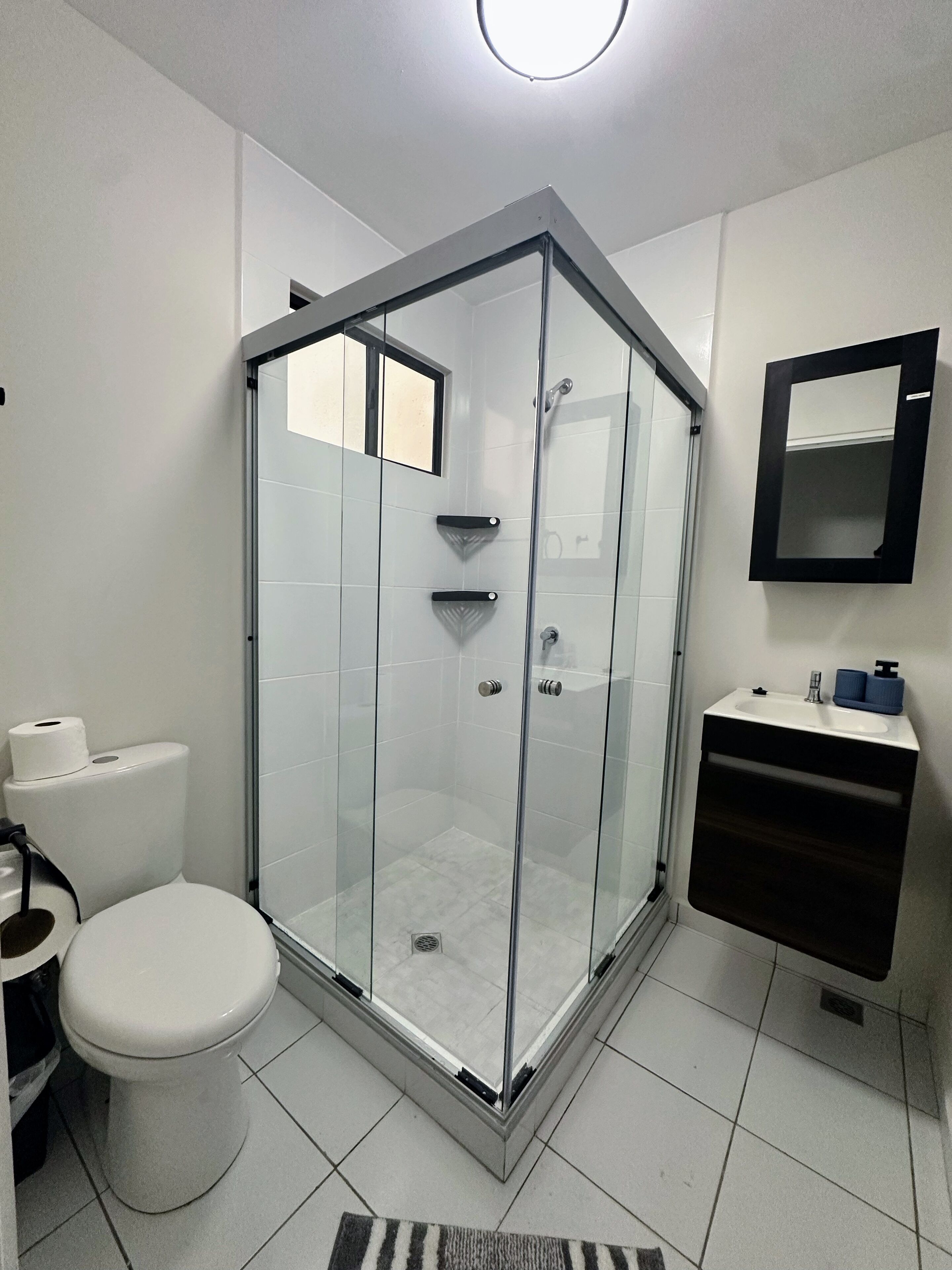 Hair dryer, towels, soap, shampoo