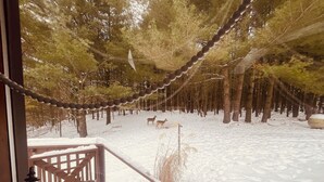 Un espacio exterior nevado con una terraza y baranda de madera, rodeado de árboles.