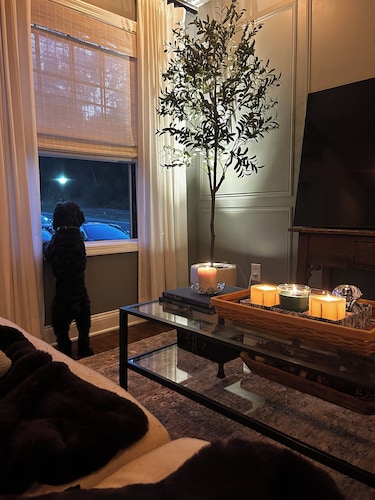 Walk to Downtown-Pet Friendly, Private Deck & Fireplace