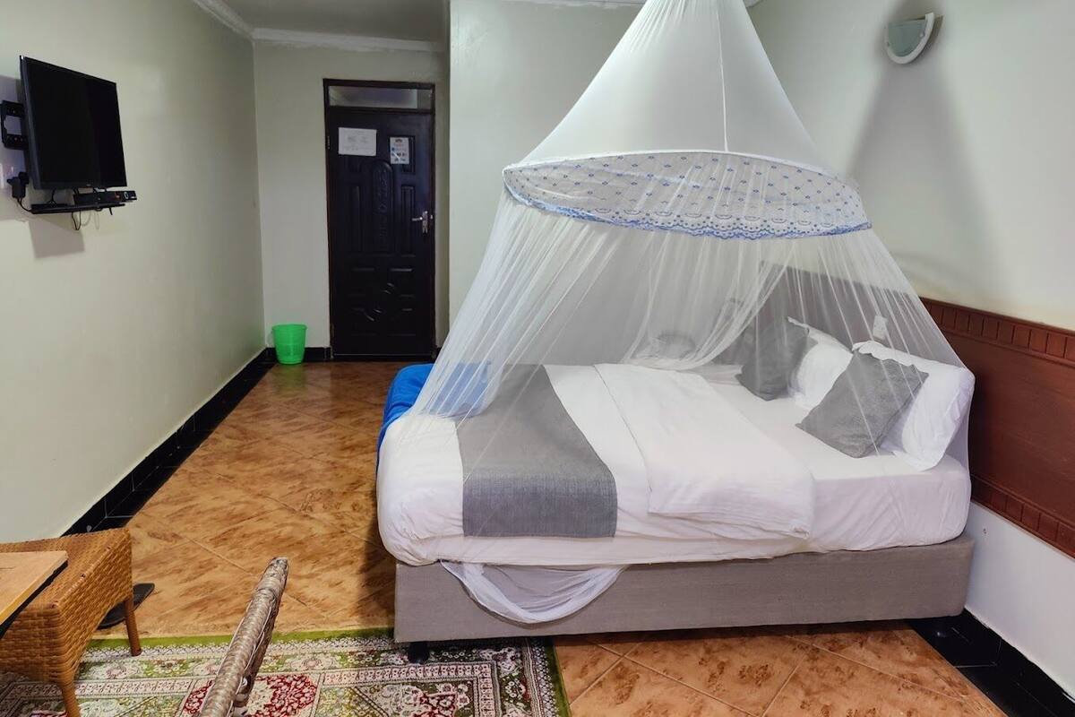 A single bed with a canopy, a television mounted on the wall, and a door in the background.