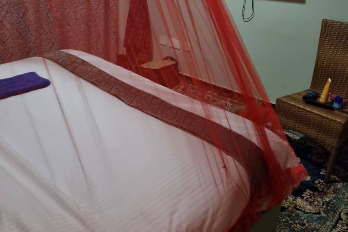 A room with a bed covered by a red canopy, a television mounted on the wall, and a wicker chair with a bottle on it.