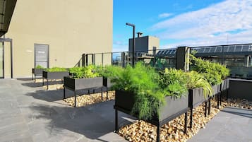 A rooftop terrace with planters, a clear sky, and a building in the background.
