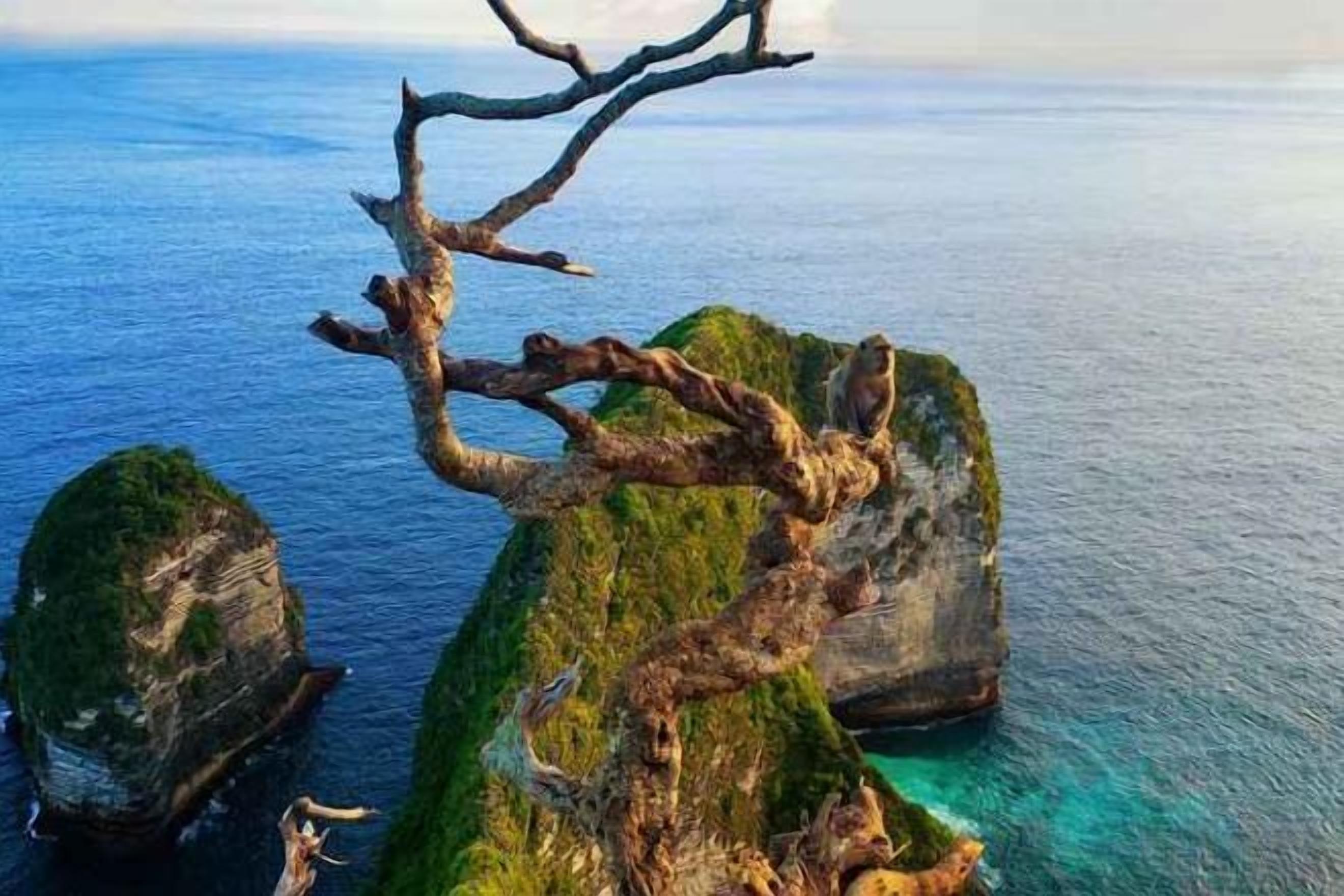 Un paisaje costero con una rama de árbol destacada que se extiende sobre el agua, rodeada de formaciones rocosas.