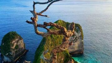 Un paisaje costero con una rama de árbol destacada que se extiende sobre el agua, rodeada de formaciones rocosas.