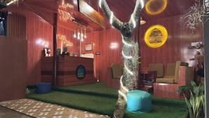 A reception area with a wooden desk, a blue bench, and a tree with hanging lights. - Meket Bungalows (Bali)