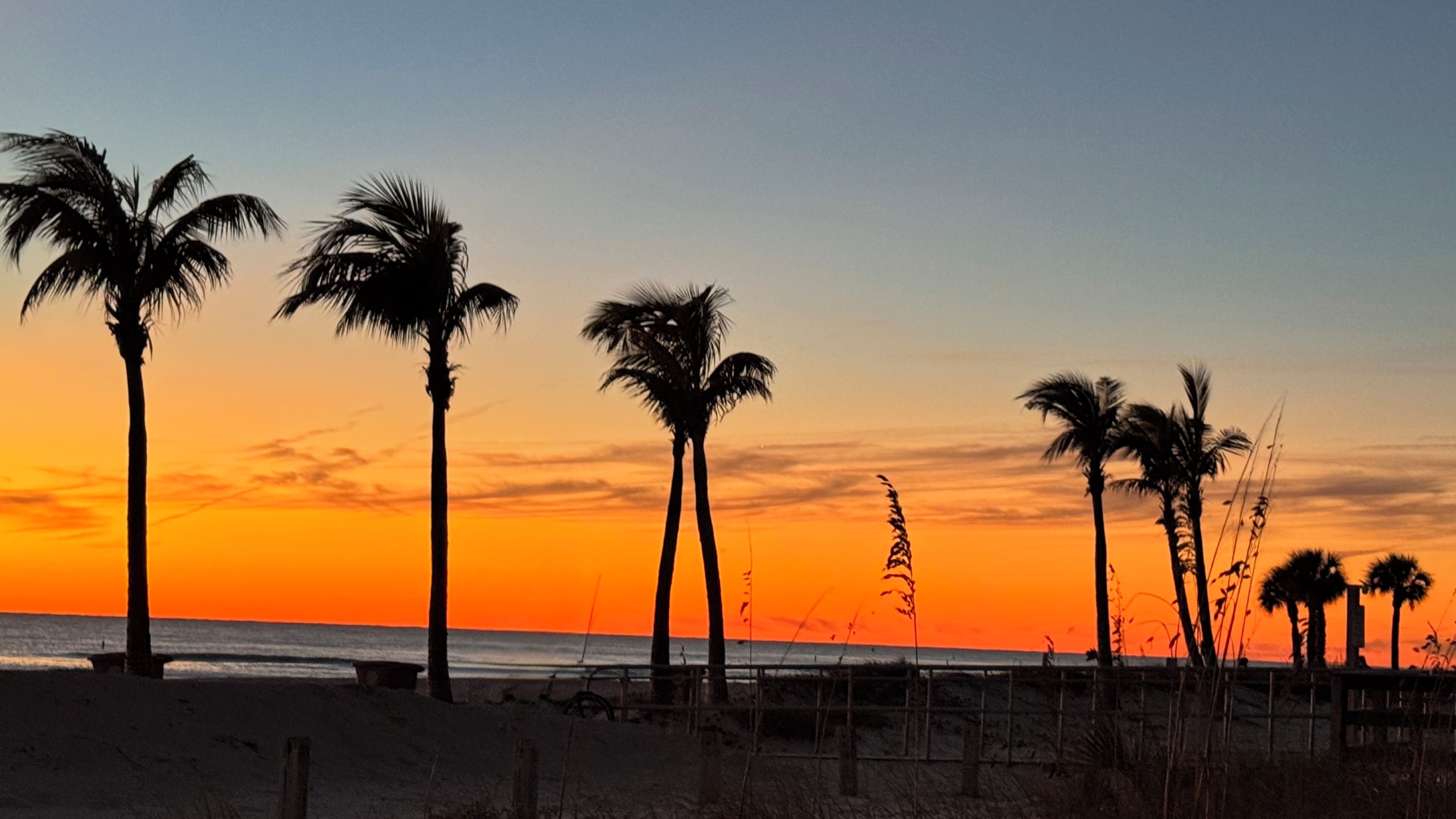 Chaises longues, serviettes de plage