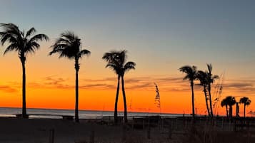 Sun-loungers, beach towels