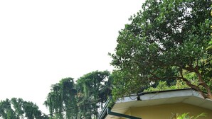 A two-story house with a balcony, surrounded by lush greenery and trees. - Thimira Mist - Mountain-View Home (Kandy)