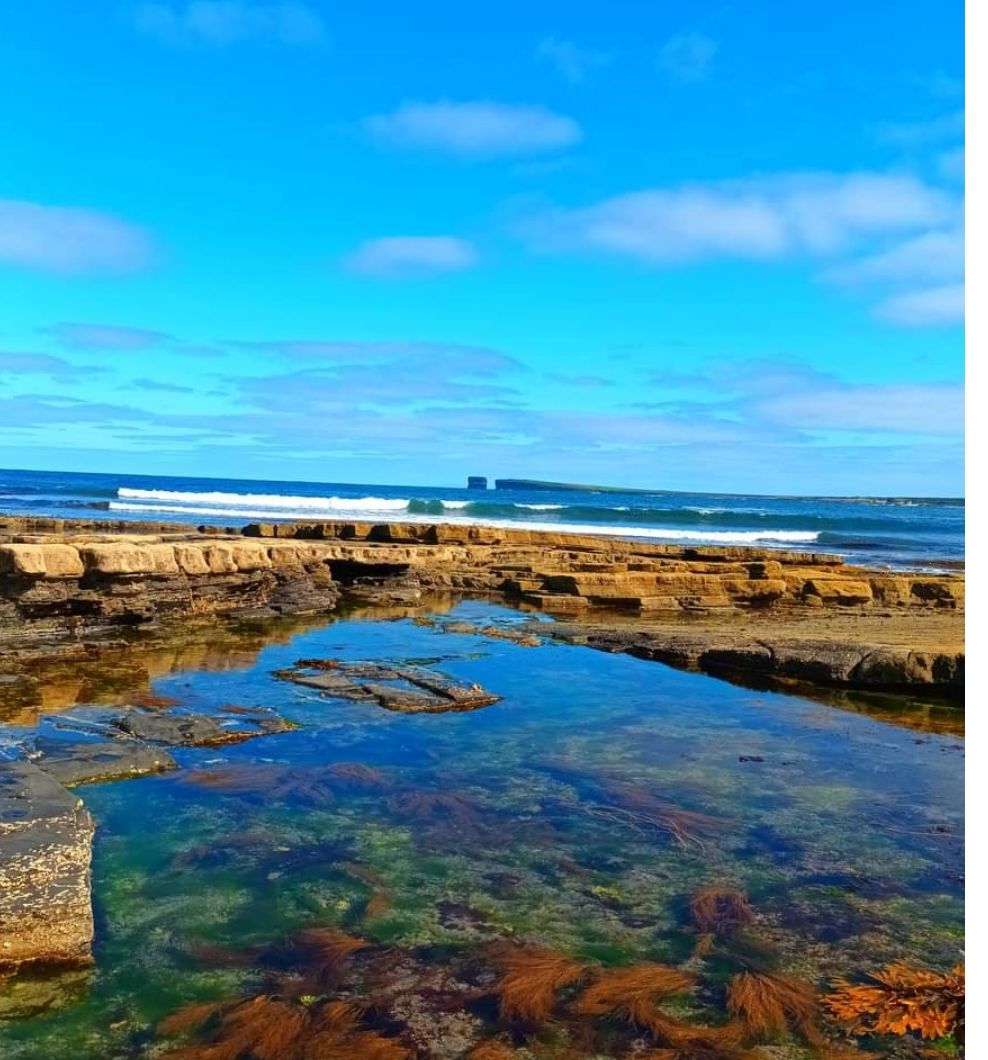 A rocky shoreline with clear water and seaweed.