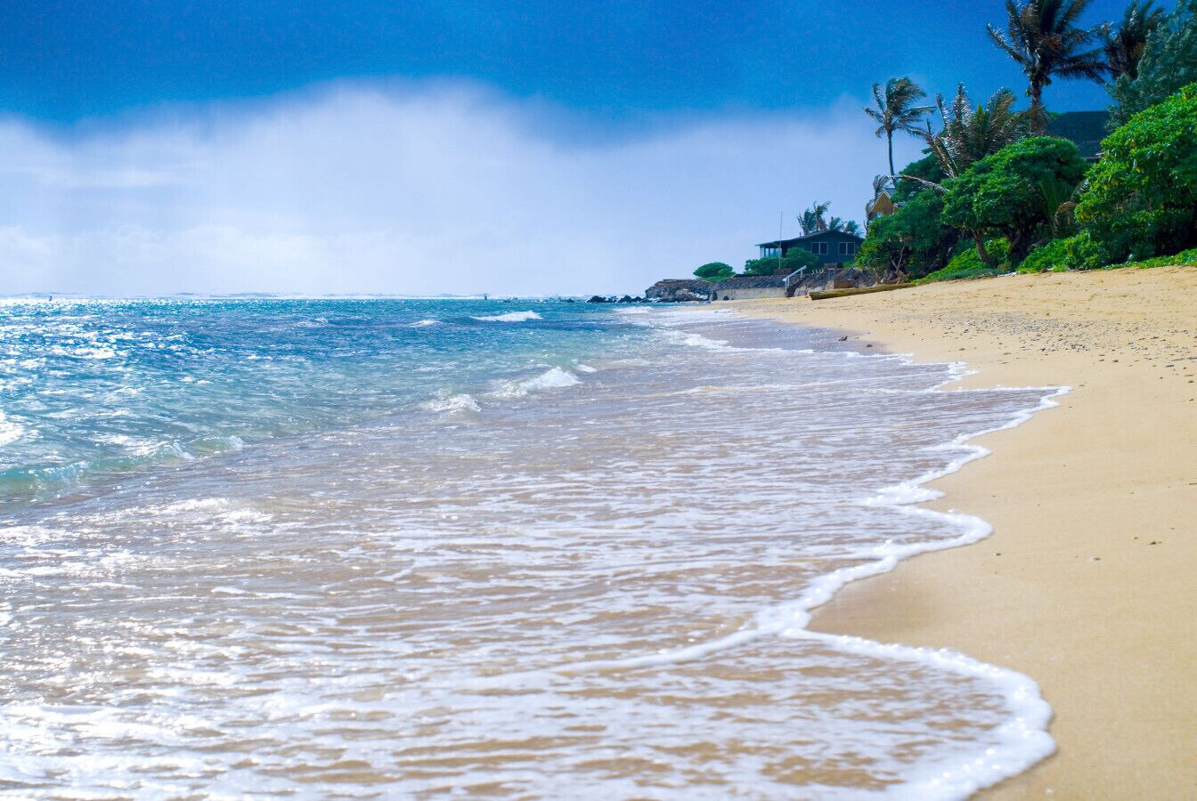 Une plage avec une eau d’un bleu limpide, un rivage sablonneux et des palmiers en arrière-plan.