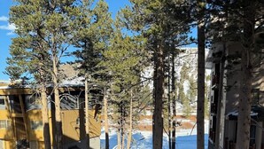 A snow-covered outdoor area with tall trees and a building with a wooden facade.