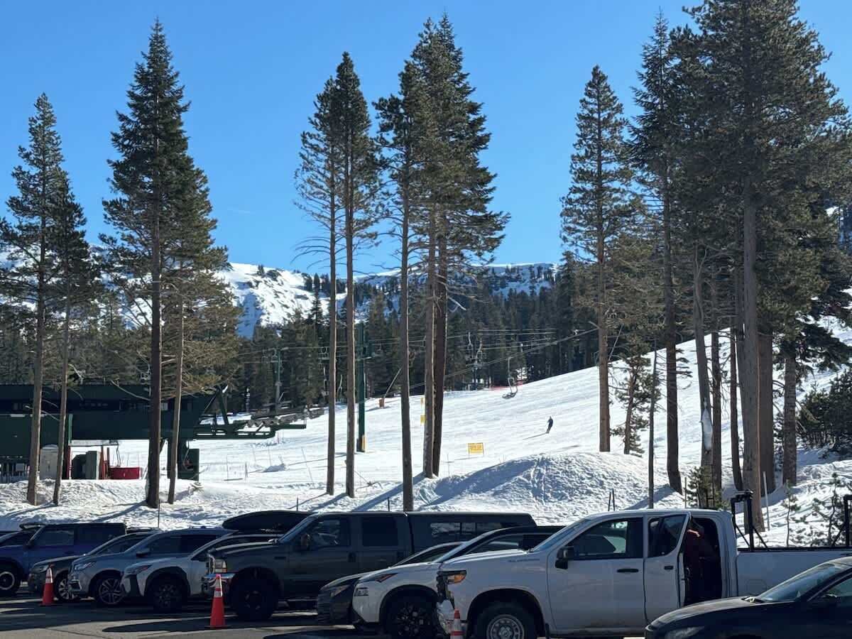 A parking lot with several vehicles, surrounded by tall evergreen trees and a snow-covered slope in the background.